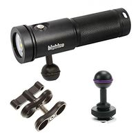 Big Blue Black Molly 3 - Mounted on a Cold Shoe Mount Light Set