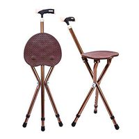 Mlife Walking Stick Chair, Metal Portable Folding Walking Stick Chair Seat Stool Travel Cane Chair