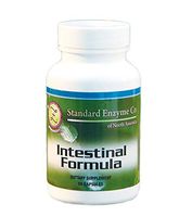 Standard Enzyme Intestinal Formula 90 Capsules