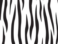 All Occasion Cello Gift Wrap - 30" x 100' - Zebra