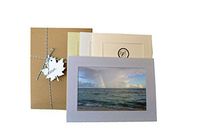 24 Photo Insert Note Cards Collections by Plymouth Cards (Nature)
