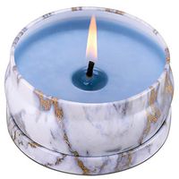 8.1oz Scented Candles 45H Up Burning Time Big Travel Tin Soy Wax Candles to Create Mood & Enhance Atmospheres, Make Your Place Smell Really Good, Perfect for Stress Relief & Aromatherapy (Eucalyptus)