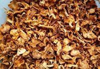 Dried Chanterelle Mushroom 10 Kilogram