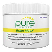 Brain MagX - Wild Blueberry 30 Servings | Nootropic Brain Boosting Formula Containing: Magtein, Xerenoos (Citicoline) & Huperzine A | Enhance Focus, Boost Concentration & Improve Memory | Vegan