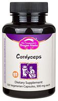 Dragon Herbs Cordyceps -- 500 mg - 100 Capsules