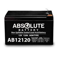 AB12120 12V 12AH F2 Replacement Battery for Briggs and Stratton 198711GS