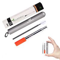 Collapsible Telescopic Stainless Steel Straw – Reusable Metal Straw with Case, Keyring, Cleaning Brush and Silicon Tip in a Giftable Box – Silver Case