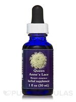 Flower Essence Services Dropper Herbal Supplements, Queen Annes Lace, 1 Ounce