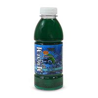Magnum 16oz Detox Drink - Blueberry