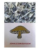 Black Fungus Mushroom Woodear Premium Grade 10 Kilogram