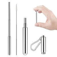 Portable Stainless Steel Straw Reusable Drinking Straws Telescopic Metal Straw with Cleaning Brush, Stainless Steel Carrying Case (white)