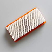 Vacuum Cleaner Filter Element for DS5500 DS5600 DS5800 DS6000 Karcher Portable Flat Washable Filter Strainers
