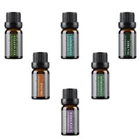 Top 6 Aromatherapy Oils 100% Pure Basic Essential Aromatherapy Oils Gift Set with Peppermint, Tea Tree, Lemongrass, Lavender, Orange, Eucalyptus Flavors (Top 6, 10ml)