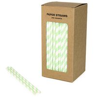 Mint Striped Paper Straws Bulk, Mint Green and White Stripe Paper Drinking Straws Biodegradable for Easter Spring Wedding Party, Coffee Soda Beverage Cafe Restaurant Cake Pop Sticks (Mint Stripe, 250)