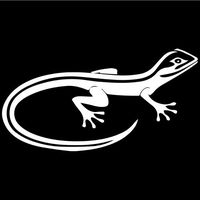Gecko Lizard Decal Sticker (White), Decal Sticker Vinyl Car Home Truck Window Laptop