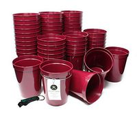 Rolling Sands 16 Ounce Reusable Plastic Stadium Cups Maroon, Bulk 50 Pack, Made in USA, BPA-Free Dishwasher Safe Plastic Tumblers and Bottle Opener