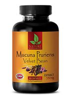 Mood Swings Supplements - MUCUNA PRURIENS Extract 350 MG - Velvet Beans - mucuna pruriens Velvet Bean - 1 Bottle 60 Capsules