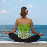 Relaxso Heat Back Therapy Lumbar Wrap,Natural Bamboo Ginger