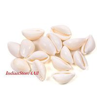 IndianStore4All White Kodi Shell - Set of 11