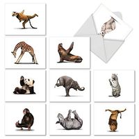 Assortment of 10 Thank You Cards 4 x 5.12 inch Featuring Animals Striking Yoga Poses - ‘Zoo Yoga' Thank You Cards with Animals Doing Yoga - Funny Animal Thank You Note Cards M6547TYG