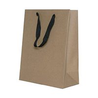 JAM PAPER Heavy Duty Kraft Gift Bags - Large - 10 x 13 x 5 - Kraft Matte Recycled - 3 Bags/Pack