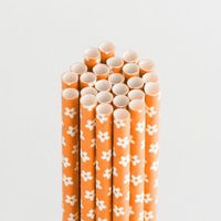 Queen and Company - Perfect Party Collection - Drinking Straws - Floral - Orange Crush