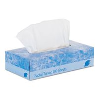 GEN Boxed Facial Tissue, 2-Ply, White, 100 Sheets/Box - 30 boxes of 100 facial tissues.