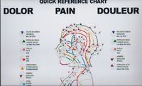 Quick Reference Chart for Pain