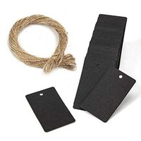 100pcs Paper Gift Tags,1.2 * 2 Inch Card Craft Tags with Natural Twine Blank Price Paper Tags Wedding Gift Hang Tags (Black)