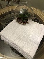 Omni Linens Washcloths –13x13 Inches, White, 12 Pack, 100% Cotton, Heavy Duty, Durable, Excellent Craftsmanship, Highly Absorbent, 1.5 lbs per Dozen, Multipurpose, Fingertip Towel (12)