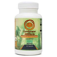 Cordyceps Mushroom Militaris Extract Capsules by Pure Nootropics - Organic, Vegan, Gluten Free Supplement, Workout Endurance, Increase Cognition, Energy and Recovery, Reduce Fatigue