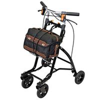 TYJ-USA Walker Portable Old Shopping Cart Trolley Old Shopping Cart (Color : Black, Size : 555181cm)