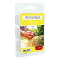 CANDLE WARMERS ETC. Aromatherapy Scented Wax Melts, Purify | 100% Soy Wax Scented with Lemon & Ginger Essential Oils