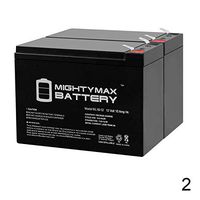 Mighty Max Battery ML10-12 - 12V 10AH Replacement for DataShield AT500 UPS Battery - 2 Pack Brand Product