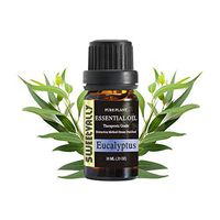 Eucalyptus Essential Oil Pure Plant Aromatherapy Essential Oil Therapeutic Grade (10ml) - Topically Applied in Diffuser, Humidifier, Skin Care, Cleaning