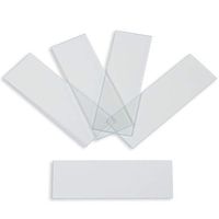Microscope Slides, Ground Edges, Plain, 90 Corners, 3x1, Karter Scientific 206A11 (Pack of 720)