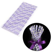 Fheaven (TM) Paper Straws - 50PCS Disposable Drink Paper Straws Birthday Christmas Party Supplies Theme Drinking Rainbow Straws (Purple)