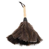 Hztyyier 13.4'' Ostrich Feather Duster with Wooden Handle Natural Mini Duster Handheld Washable Cleaning Tool for Books Keyboard Office Home