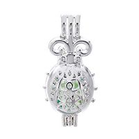 10pcs Bright Silver Ladybug Charms Pearl Cage Locket Beads Cage Pendant Jewelry Making Supplies-for Oyster Pearls, Essential Oil Diffuser, Fun Gifts (Ladybug)