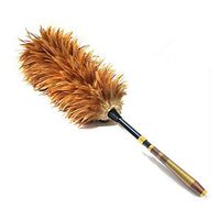 Xiao Feather duster, household microfiber dust collector, telescopic handle multifunctional cleaning brush car house dust removal dust collector (Size : 110cm)