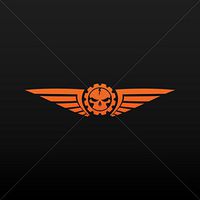 Sticker Decal Aviator Skull Airforce Style Tablet Laptop Weatherproof Orange (12 X 2.64 In)