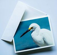 Bird Note Cards Original Elegant Photographic Textured White Blank 4.25"x 5.50" Boxed Set 8 W/Matching Envelopes In Plastic Jacket Thank You Invitations Birthdays Greetings Just Because
