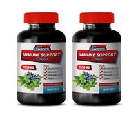 Immune c - Immune Support Complex 1550MG - Natural Formula - Premium Blend - Stop Free Radical Damage - graviola Fruit Powder - 2 Bottles (120 Capsules)