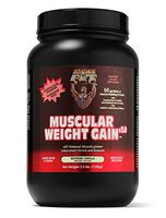 Healthy 'N Fit Muscular Weight Gain v3.0- Natural Vanilla (2.5lb): Highest Protein Gainer- Only protein builds muscle. From America's #1 Brand in Supplements Technology and Purity. …