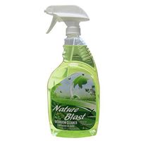 Nature Blast Eco Friendly Bathroom Cleaner