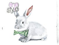 Easter Bunny Rabbit with Bowtie Disposable Lunch Napkins 40 Count