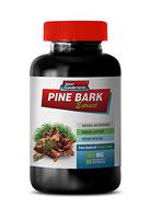 Brain and Memory Support - Pine BARK Extract - Free Radical Protection - Energy Supplements for Adults - 1 Bottle 90 Capsules