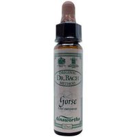 Dr Bach Gorse Bach Flower Remedy 10ml