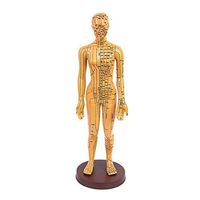 MonkeyJack Acupoint and Meridian Human Body Model Small Bronze Women/Men Model Learning - Female 2