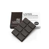 Living Water FS Nano Hemp Oil Extract Supplement Chocolates for Higher Bioavailability and Absorption 120mg 26g Dark Chocolate